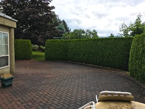 Outdoor Patio Area for common use